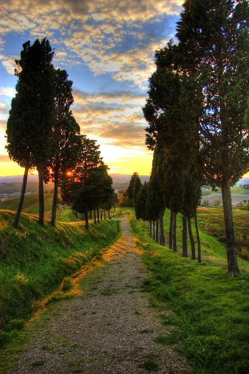 Locanda Viani San Gimignano Bed & Breakfast